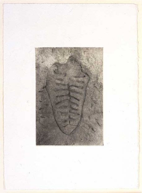 Ana Mendieta Itiba Cahubaba II [Old Mother Blood], from the Rupestrian Sculptures Series 1981/1983 Photo-etching on chine collé