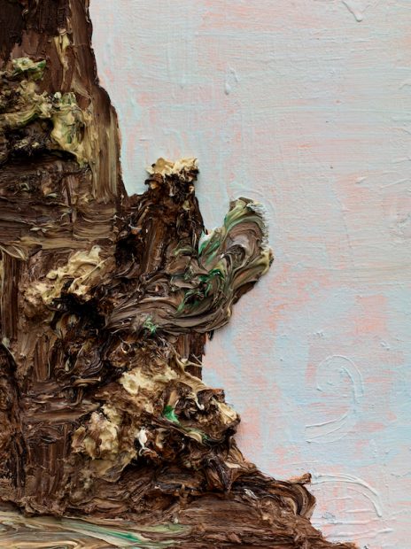 Victor Estrada, detail from Pink Cloud / Chocolate Mountain 