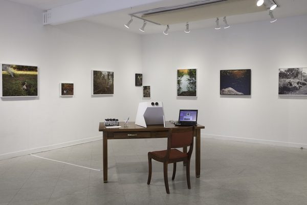 Installation view: Morgan Ashcom's What the Living Carry