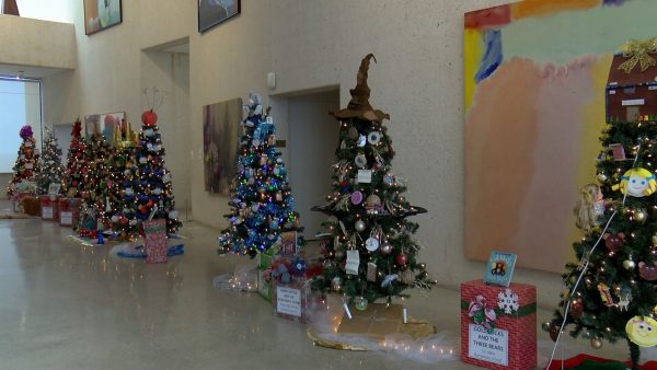 Christmas Tree Forest Art Museum of South Texas Corpus Christi 