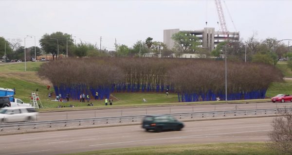 Konstantin Dimopoulos blue trees project in Houston Texas