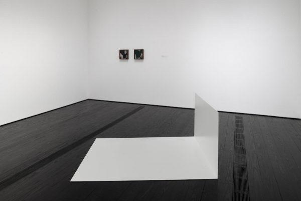 Installation view of Contemporary Focus: Leslie Hewitt at the Menil Collection. 