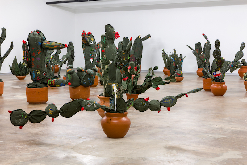 Margarita Cabrera's installation at Dallas Contemporary