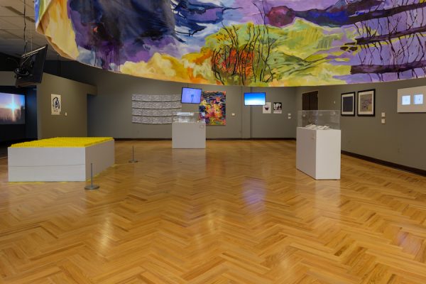 Installation view of the 2019 TTU Land Arts exhibition at TTU's Museum