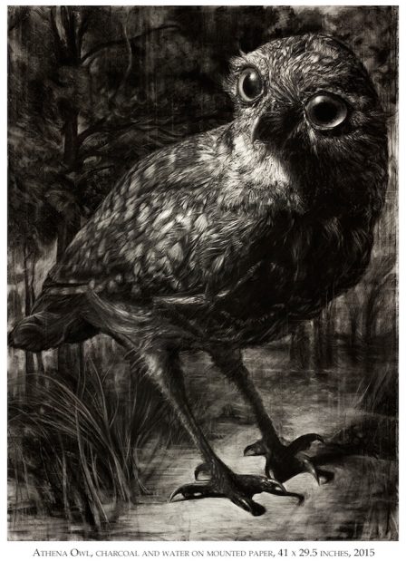 Tyler Vouros, Athena Owl, 2015. 