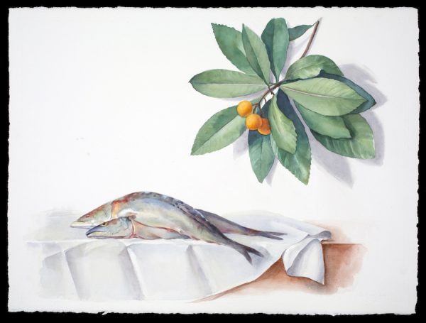 Carol Ivey, Mackerel after Anne Vallayer-Coster (18th C. French) with Kumquats, 2019. 