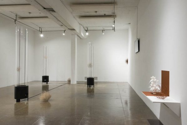 Installation view of Juana Córdova's exhibition at Artpace, San Antonio