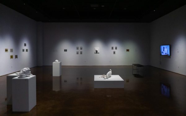 Installation view of Tatiana Istomina's exhibition at TXST Galleries