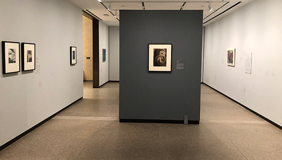 Transformation-of-downstairs-galleries-at-Amon-Carter-Museum-of American-Art