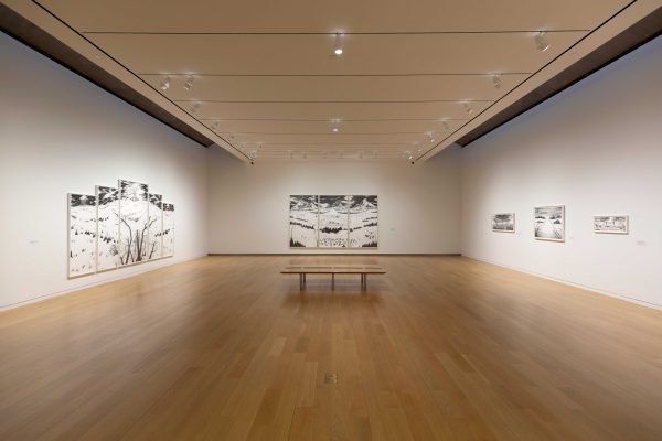 Installation view of the exhibition Robyn O’Neil- WE, THE MASSES at the Modern art museum of fort worth