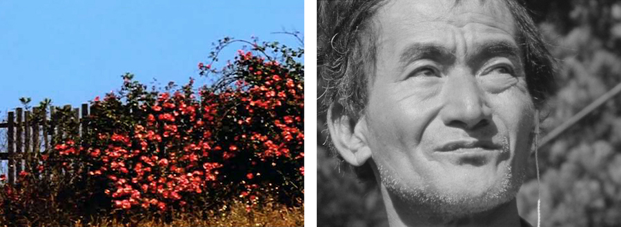 L: All My Life (1966) by Bruce Baillie. R: Mr. Hayashi (1961) by Bruce Baillie