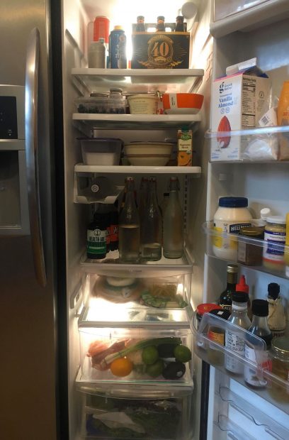 What-is-in-your-fridge-Terri-Thornton