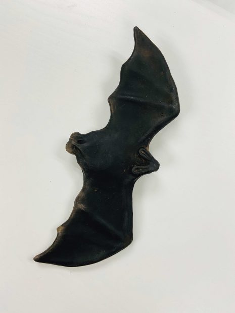 Ceramic bat sculpture by artist Celia Eberle