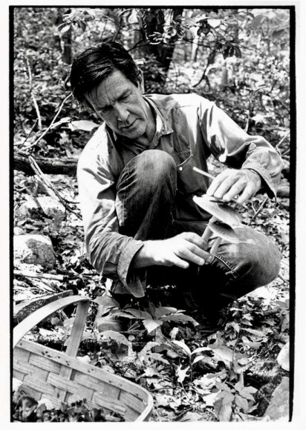 John Cage picking mushrooms in the woods
