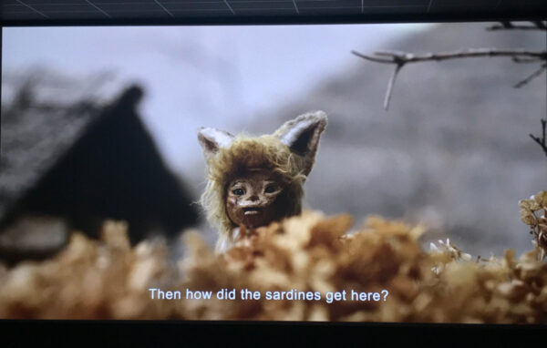 Gon, the Little Fox, directed by Takeshi Yashiro