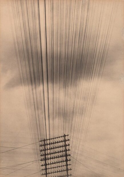 Tina Modotti, Telephone Wires, Mexico, 1925. Courtesy the Museum of Modern Art, New York.