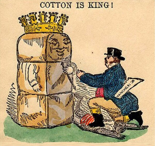 A political cartoon showing a man in a hat and a large cotton bale wearing a crow. Text reads "Cotton is King!"
