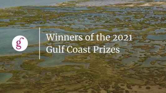 2021 Gulf Coast Prize Winners Announced Glasstire