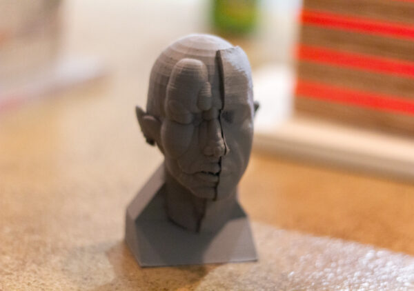 Fitz Lewis 3d print test at RULE gallery