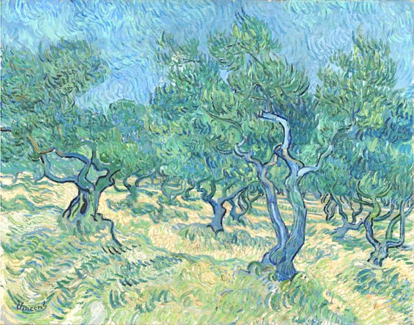 A painting of olive trees. The painting is very gestural and features swirling lines. 