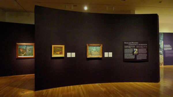 Installation photograph of the Dallas Museum of Art's Vincent Van Gogh exhibition.