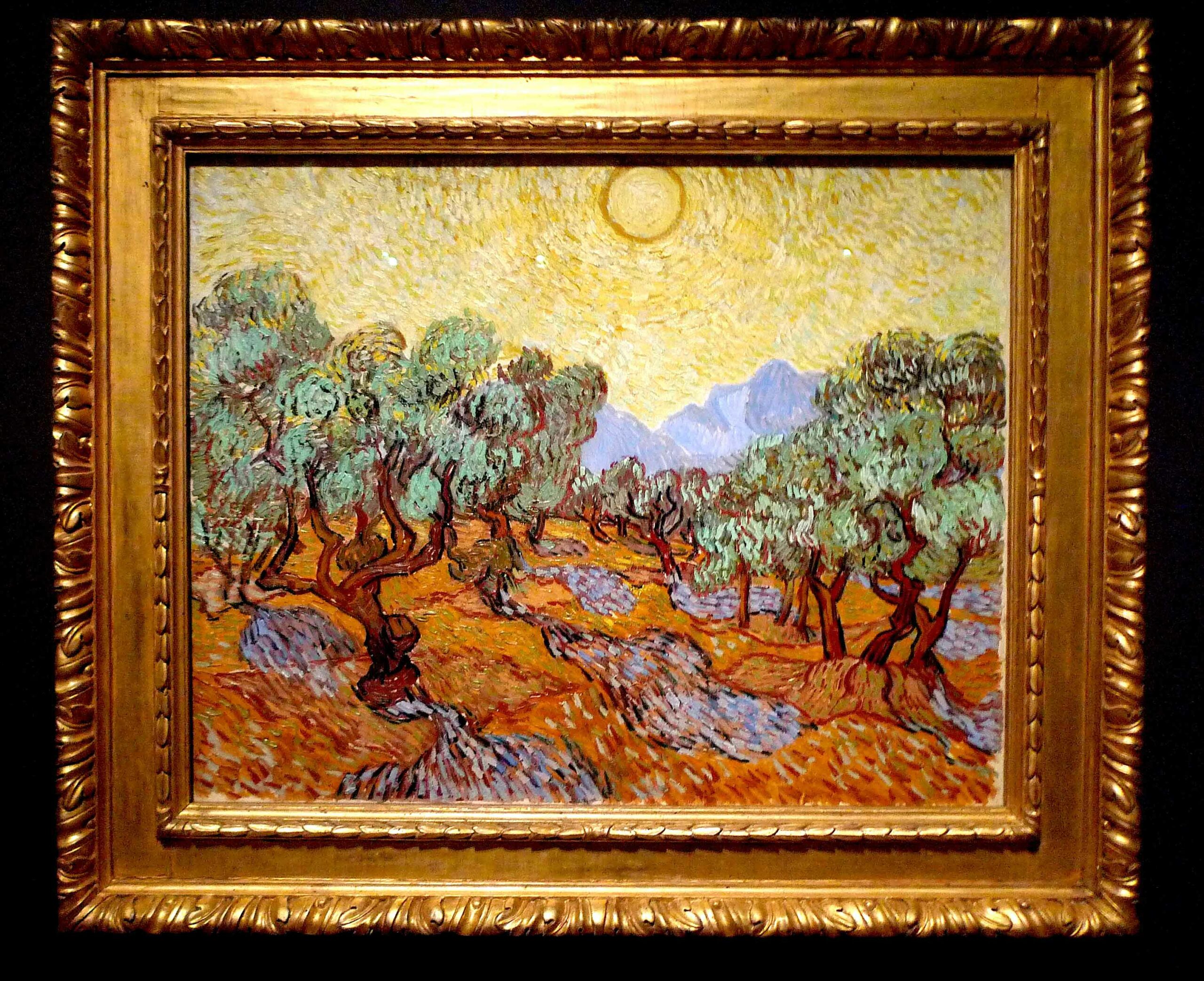 Van Gogh's Symbolic Olive Trees and Landscapes at the Dallas Museum of Art