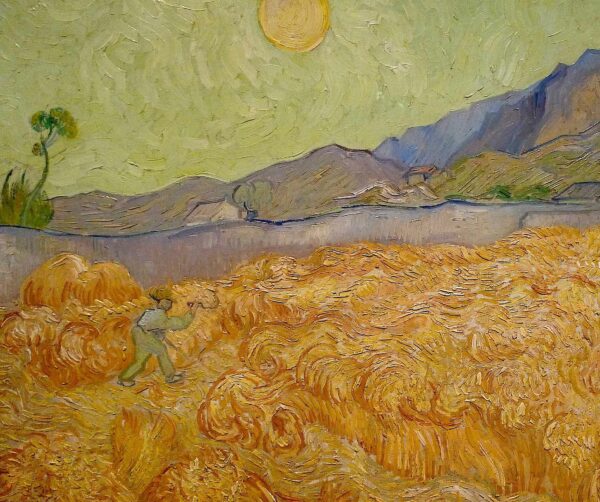 Painting of a wheat field, featuring swirling bays of wheat or hay in the foreground.