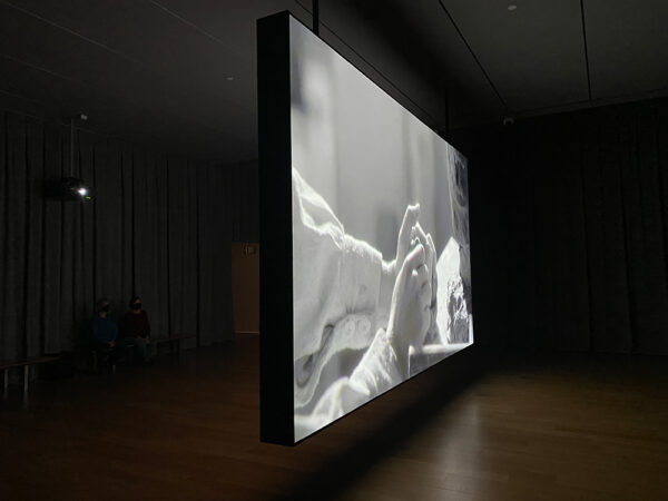 A photograph of a large screen with a black and white projected image. Artwork by Teresa Hubbard and Alexander Birchler.