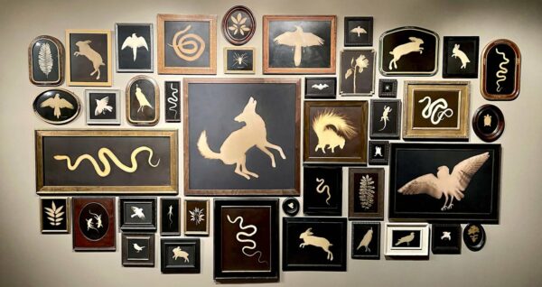 A photograph of over forty framed images of animal silhouettes. The images are hung closely clustered together and are light depictions against black backgrounds. The images vary in color and depict animals like snakes, birds, rabbits, and a wolf. There are also a handful of depictions of plants. Installation by Kate Breakey.