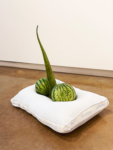 A photo of an assemblage by Kristen Cochran. The sculpture is an aloe leaf held up between two watermelons resting on a pillow.