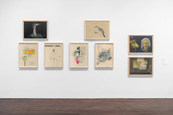 Exhibition view of seven works on paper by artist Terry Allen