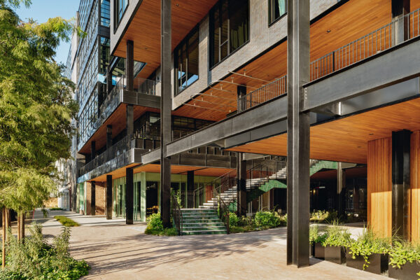 An exterior photograph of the Montrose Collective building.