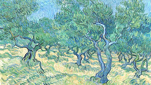 olive tree painting van gogh