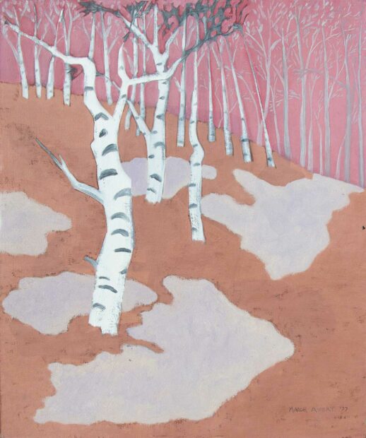 En la ladera de una colina un bosque de árboles blancos se extiende hacía atrás. Debajo de un cielo rosado, manchas grisáceas de nieve se destacan sobre un suelo blando de color bronce.