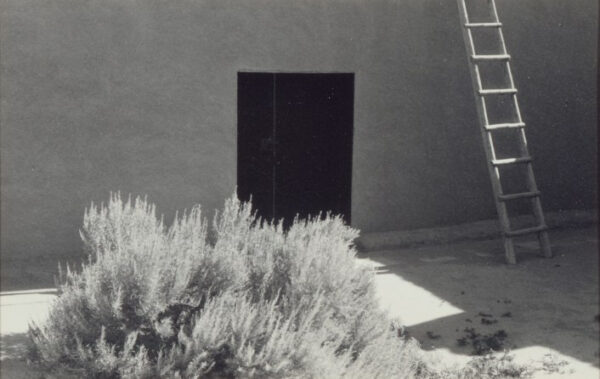 A photograph of a doorway to a house. To the right of the doorway, a ladder leans against the house.