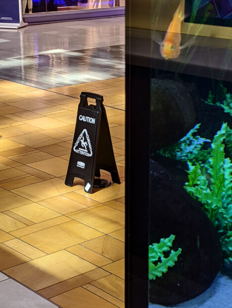 Photograph of a black wet floor sign standing on a floor. In the foreground is a fish tank with plants and an orange fish.