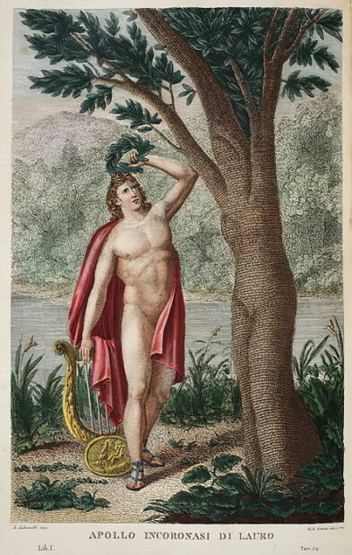 Illustration of a semi-nude Apollo placing a Laurel crown on his head