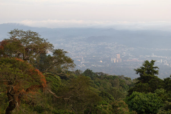 La ciudad de San Salvador cubierta por la bruma en el fondo, la vegetación del volcán aparece en el primer plano