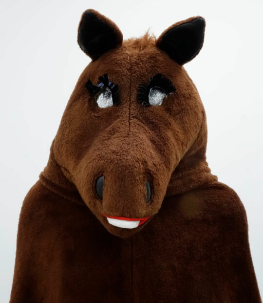 Photograph of a sculpture made out of a horse costume.