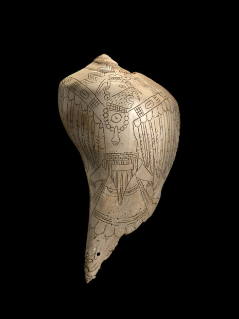 A photograph of a white shell against a black background. The shell has engraved markings featuring a figure wearing ceremonial dress.