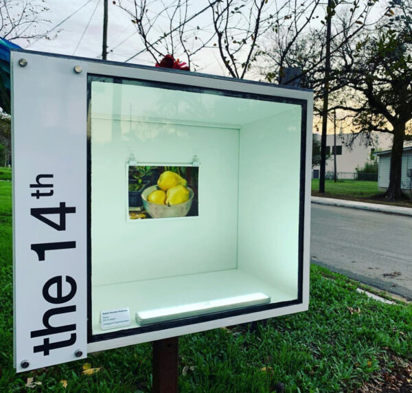 Installation view of a tiny photo of pears in Austin's Really Small Museum