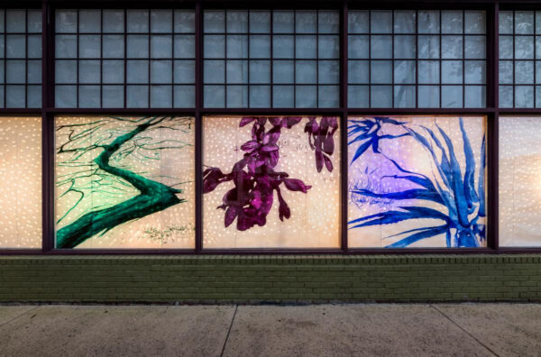 A photograph of an installation by Sabra Booth which fills three windows visible from the sidewalk outside of Artpace in San Antonio. All three windows have an off-white background with white, snow-like, dots. The left window has a green abstract and jagged shape that snakes across it. The middle pane has purple flowers that come from the top of the image and hang down. The right pane has blue leaf-like images similar to an agave plant that start in the bottom right corner and extend up and out.
