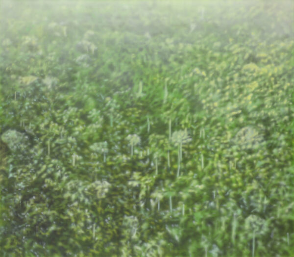 A painting by Melanie Smith. The painting is filled with green plant life that appears to either be a close-up of grass or an aerial view of a forested area. The painting is primarily green and the plant life appears blurred.