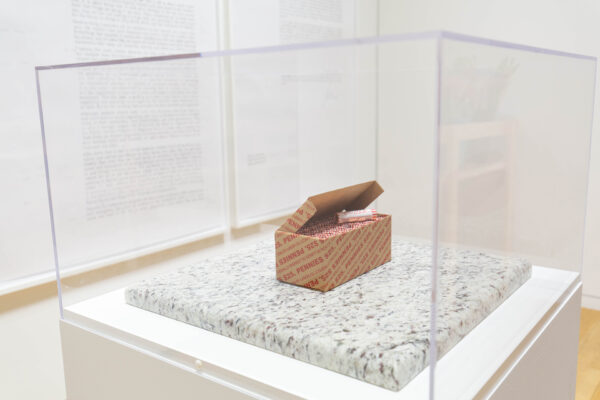 Image of a box of rolled pennies in a white vitrine