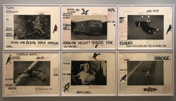 Images of mixed media work by Terry Allen including text and photos of trailers, dogs, roadkill and people