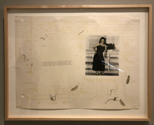 Image of Terry Allen work with text and a photo of a woman leaning against a bookshelf.
