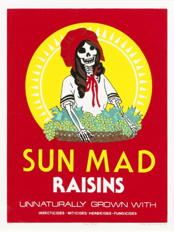 A screenprinted image by Ester Hernández. The image resembles the Sun Made Raisins box but the text has been changed to read, "Sun Mad Raisins. Unnaturally Grown With Insecticides, Miticides, Hericides, Fungicides." A skeleton figure of a woman holding grapes stands in front of a bright yellow sun.