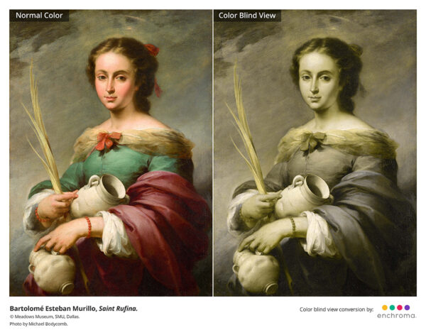 A side-by-side comparison of a photograph of a painting by Bartolomé Esteban Murillo and the same painting as it would be viewed by a person who is color blind. The original image appears more vibrant with distinct colors of peach in the skin tone of the sitter, green as the main color of the dress, and red in the draped cloth the sitter holds. The color blind view of the painting appears almost completely desaturated.