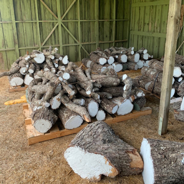 A photograph showing several stacks of cut wood.