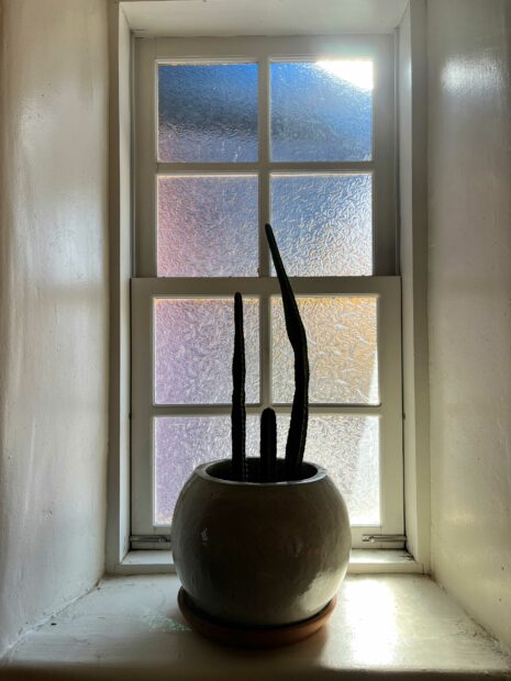 A photo of a cactus in a large, round planter in a window sill at the Casa Otro Residency house in Mesilla, New Mexico